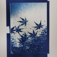 시아노타입 토닝(cyanotype tonning) 테스트02