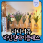 하남 미사 원데이클래스 핸드메이드 라탄 꽃병 후기 : 라탄공예 감성소품 라타니쥬