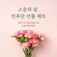 스승의날 선물/인후단 선물세트/인후단/도라지환