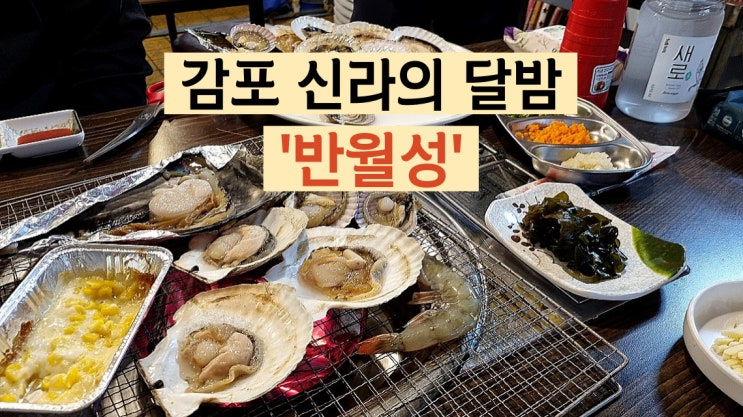 경주 신라의달밤, 감포 포장마차 반월성 조개구이 후기 : 네이버 블로그