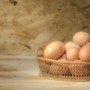 계란 영양성분 아침식사로 좋은 반숙 두알