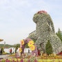 고양꽃박람회 일산호수공원 봄꽃축제 나들이