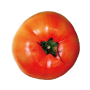 [공유]다채로운 특성의 토마토 매력탐구!
