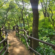 관악산 산림욕장, 관악산둘레길 - 서울대관악수목원 숲해설 체험