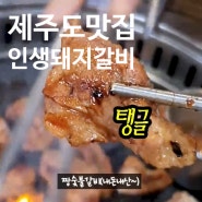 내돈내산 제주맛집 여행 인생최고의 돼지갈비! 짱숯불갈비 꼭 드셔보세요.