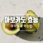 아보카도 효능 및 부작용 Feat.먹는법, 칼로리