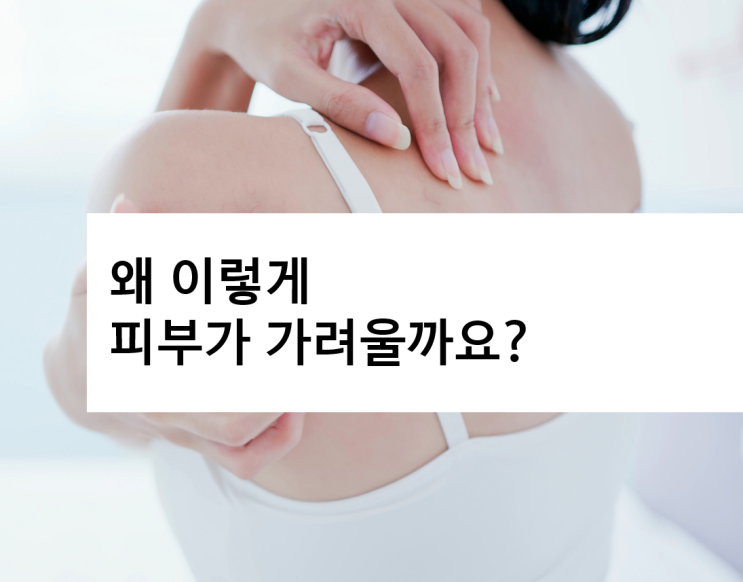 봄철 나들이에 온몸 가려움, 건선 백선 완선 알러지성 피부 발진 특징은? : 네이버 블로그