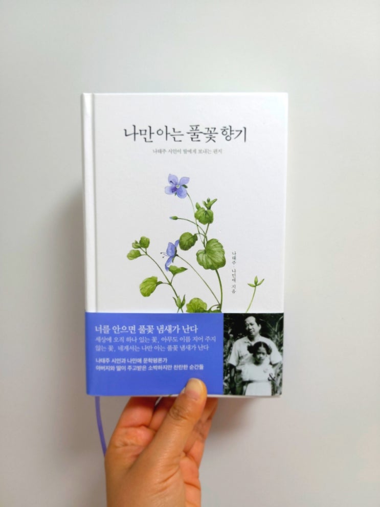 나태주 시인이 딸에게 보내는 편지 : 네이버 블로그