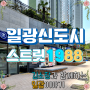 부산 스트릿1988 일광점 붕어빵/호두과자/계란빵 간식 맛집