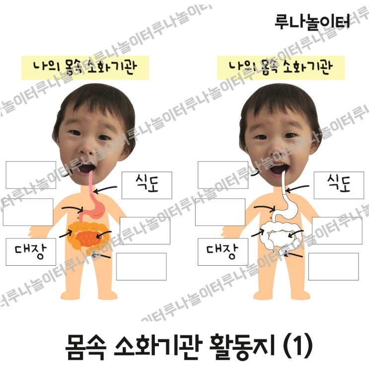 소화기관 활동지 도안 / 몸속 기관 활동지 / 우…