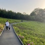 주말 일기 아이랑 산책하기 좋은 곳. 불암산 철쭉공원, 당현천 세계 꽃 공원.