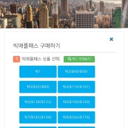 뉴욕 여행 빅애플패스 타미스 구매 후기