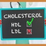 HDL 콜레스테롤이란(ft. HDL 콜레스톨 정상수치)