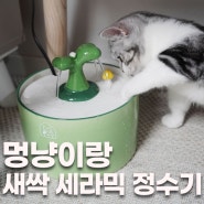 [봉봉리뷰] 내돈내산 고양이 정수기:) 멍냥이랑 새싹 세라믹 정수기를 들여놓았어요!