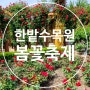 대전 한밭수목원 동원 봄꽃 축제,장미와 야생화 만난다