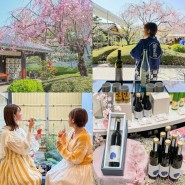 오사카 근교 여행 : 일본 사케 종류 시음하고 구입하기 일본술 투어