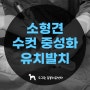 소형견 중성화 수술 유치제거 동시에 | 홍은동 동물병원