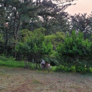 오랜만에 민오름 🌳