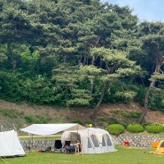 #11. 청려수련원(동탄) - 푸른 잔디밭 캠핑
