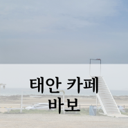 태안 안면도 바다 전망 보이는 카페 바보 내돈내산 후기