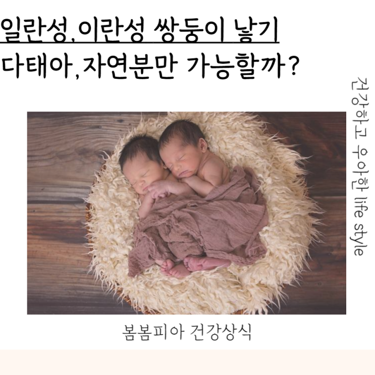 일란성 이란성 쌍둥이낳는법 세쌍둥이 임신 자연분만까지! : 네이버 블로그