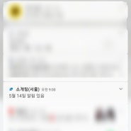 오늘 내가 소개팅을 안 나간 이유