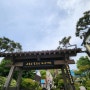 [포항여행] 동백필무렵 촬영지 구룡포 일본인가옥거리
