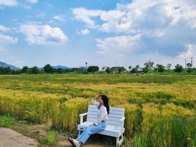 함안 강나루생태공원 작약 청보리밭 포토스팟 한가득