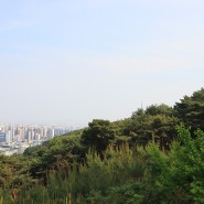 수원명소 전경을 한눈에 볼 수 있는 팔달산