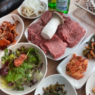 해운대 육즙 육질 퀄리티 극락 거세한우 1++ 특수부위 맛집 고향정육식당