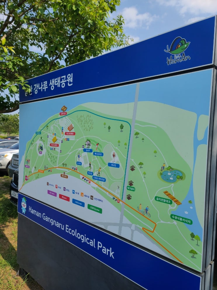 함안 강나루 생태공원 작약축제