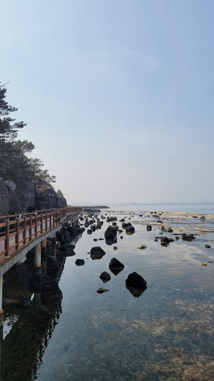 걷고싶은 길 호미반도해안둘레길1, 2코스 연오랑세오녀테마공원