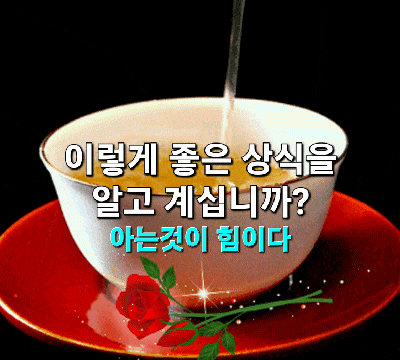 링크 미리보기
