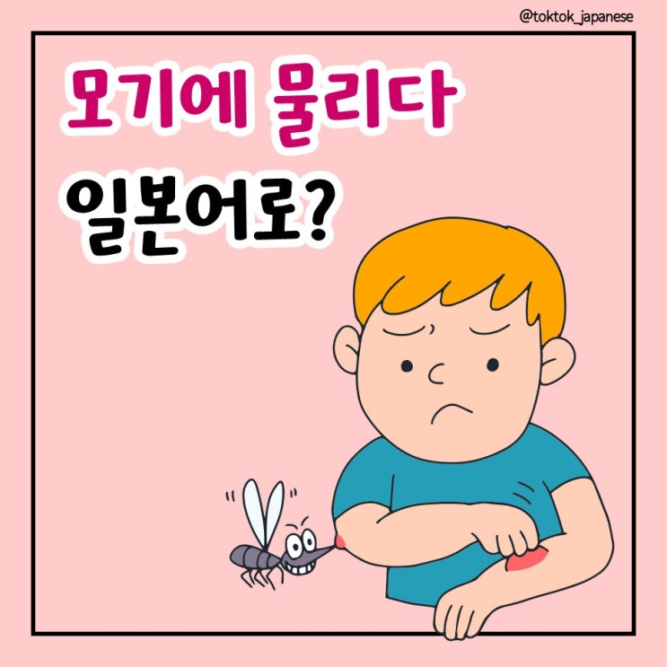 '모기에 물리다', '가렵다' 일본어로? 틀리기 쉬운 일본어 단어 : 네이버 블로그