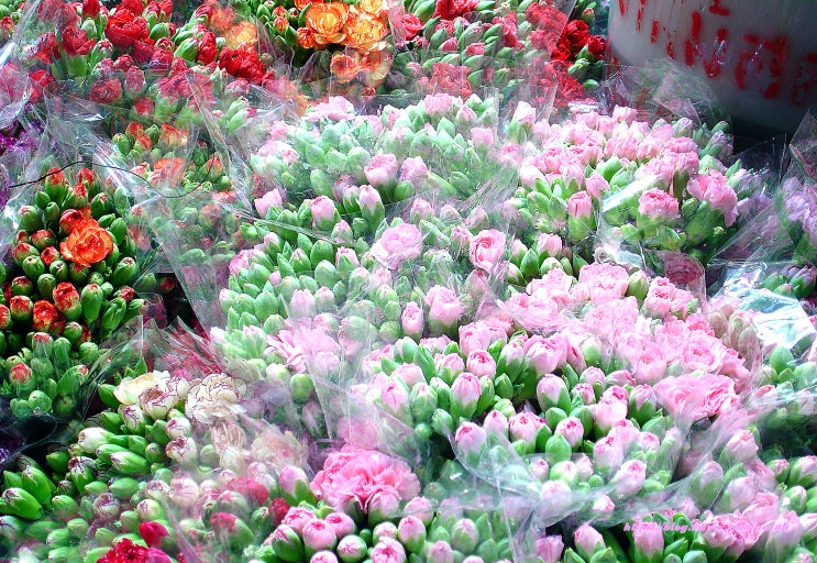 방콕 차이나타운, 빡크롱(빡크렁) 시장 Pak Khlong Market(방콕 꽃 시장)
