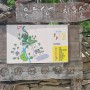 경남고성 아이들과 함께 산책하기 좋은 오두산 치유숲
