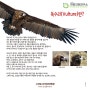 [콜리브리프로젝트] 지난 3월 방사했던 독수리가 드디어 몽골로 돌아갔어요! (탈진개체/멸종위기종/고성 독수리)