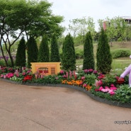 서울 실내데이트 코스 추천 마곡 서울식물원