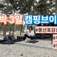 몽산포반려견 동반 캠핑장 브이로그 | 몽산포감성캠핑장