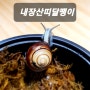 [달팽이] 패각이 넘 예쁜 희귀종 내장산띠달팽이