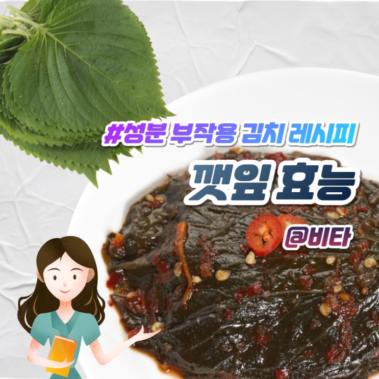 깻잎 효능 성분 부작용 깻잎김치 양념장 레시피 : 네이버 블로그