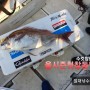 '23시즌 서해중부 보령권 대물참돔 첫탐사출조