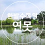 대전 한밭수목원 동원 봄꽃 축제 연못 팔각정 가볼만한곳