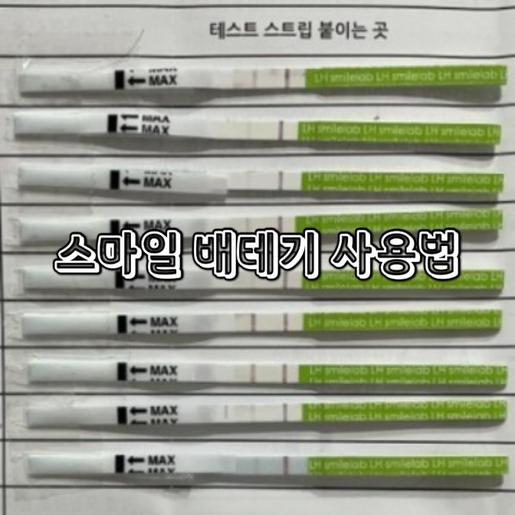 배란테스트기 사용법 