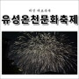 [여행] 대전 대표축제 유성온천문화축제 대만족 후기