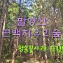 팔영산 편백 치유의숲 힐링여행