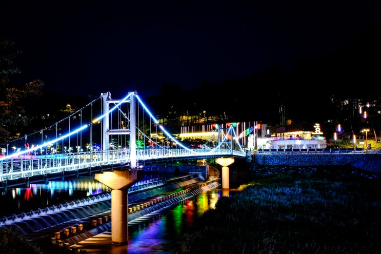 [대전 가볼 만한 곳]대전 뿌리공원 야경, 대전야경,대전 산책하기 좋은 곳 : 네이버 블로그