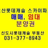 오산롯데캐슬 스카이파크 분양권 전매 및 전월세