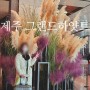 그랜드하얏트 제주 5성급호텔 1박후기 시티뷰와 오션뷰가 끝판왕!!