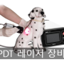 [대구동물병원][외과특화동물병원][수성구동물병원][응급진료][일요일 진료] PDT 레이저 기기를 소개합니다.